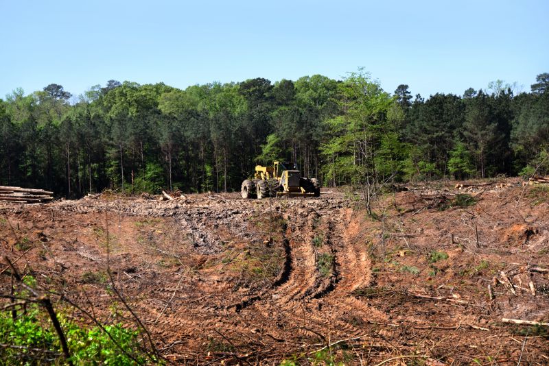 Bulldozer Clearing in Houston, TX