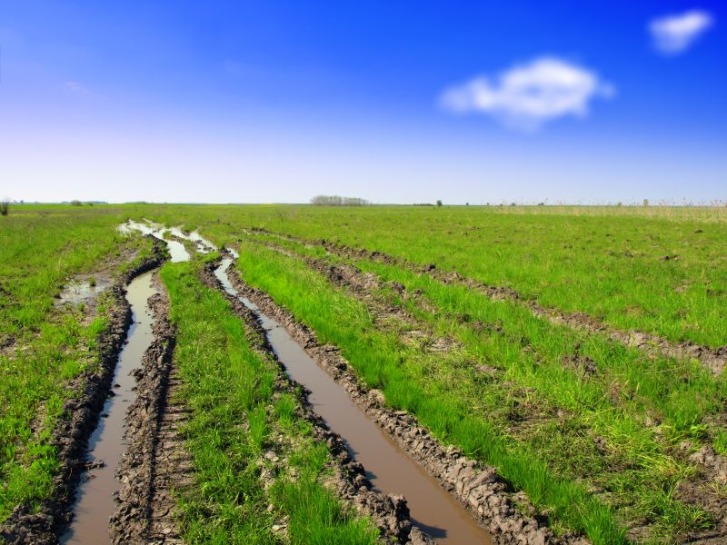 Lawn Leveling Service