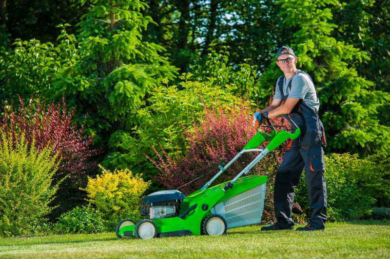 Lawn Leveling Service