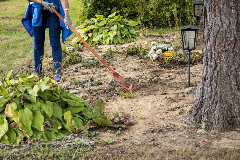 Site Preparation Service in Houston, TX