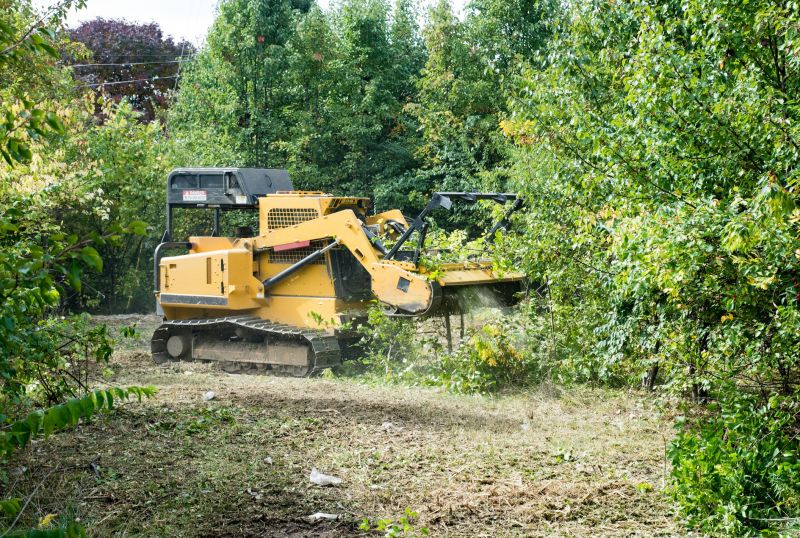 Thicket Clearing in Houston, TX